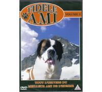 LES CHIENS D'AIDE ET LES CHIENS DE CONCOURS