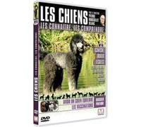 Les Chiens : Les connaître, les comprendre Volume 4 DVD E