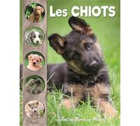 Les chiots