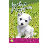 Les chiots magiques - Tome 06 : À la belle étoile
