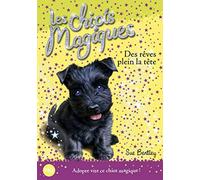Les chiots magiques - tome 11 : Des rêves plein la tête