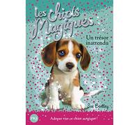 Les chiots magiques - tome 14 : Un trésor innatendu