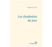 Les clandestins du jour Pierre le coz (Auteur)