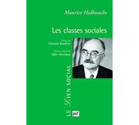 Les classes sociales: Préface de Christian Baudelot. Introduction et notes de Gilles Montigny