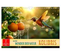 Les colibris - petits miracles de la nature, Version française (Calendrier mural 2026 DIN A4 portrait), Calendrier CALVENDO mensuel