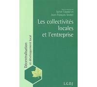Les Collectivités Locales Et L'entreprise