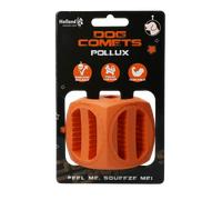 Les Comètes pour Chien Pollux