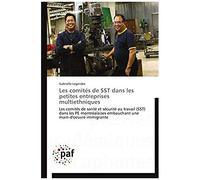 Les Comités De Sst Dans Les Petites Entreprises Multiethniques