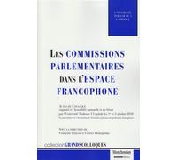 Les commissions parlementaires dans l'espace francophone Sous la direction de françoise fraysse et fabrice hourquebie - Françoise Fraysse - Montchrestien - broché - Etude