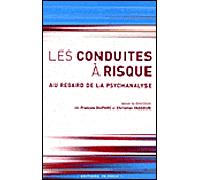 Les Conduites à risque Au regard de la psychanalyse - Denis Mellier - In Press Eds - broché - Essai