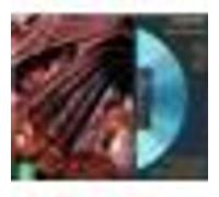 Les Contes d' Hoffmann