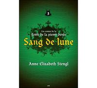 Les contes de la forêt de la pierre dorée - Anne Elisabeth Stengl - Ada Eds - broché - Roman