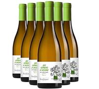 Les Copains d'accord mais les filles d'abord Blanc Sec Blanc - Gisèle Bordenave - Vin de France - Vin Blanc du Sud-Ouest - Lot de 6x75cl - Cépages Camaralet, Petit Manseng