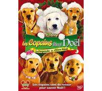 Les Copains Fêtent Noël [DVD]