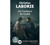Les couleurs de l'oubli (2 volumes) Grands caractères, édition accessible pour les malvoyants - Christian Laborie - A Vue D'oeil - broché - Roman