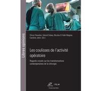 Les coulisses de l'activité opératoire Nicolas El Haïk-Wagner (Auteur), Olivia Chevalier (Auteur), Gérard Dubey (Auteur), Caroline Jobin (Auteur)