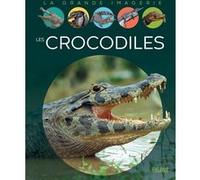 Les crocodiles Cathy Franco (Auteur), Benjamin Carré (Illustration)