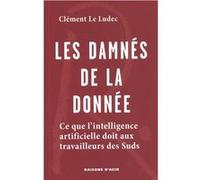 Les damnés de la donnée Clément Le Ludec (Auteur)