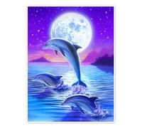 Les dauphins à minuit Poster de Robin Koni 13 x 18 cm Tableaux Décoration murale