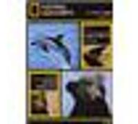 Les Dauphins danseurs de l'océan - Les Bébés animaux - Edition Digipack G