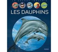 Les dauphins Stéphanie Redoulès (Auteur), Bernard Alunni (Illustration), Marie-Christine Lemayeur (Illustration), Jacques Dayan (Illustration)