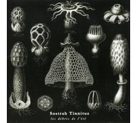 Les Debris de l'Ete [Import]