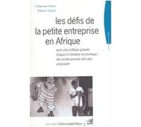 Les Defis de la Petite Entreprise en Afrique Nicolas Chaze (Auteur), Yaya Traore (Auteur)