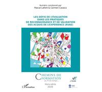 Les Défis De L'évaluation Dans Les Pratiques De Reconnaissance Et De Validation Des Acquis De L'expérience (Rvae)