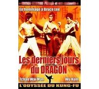 Les Derniers Jours Du Dragon (En Hommage A Bruce Lee) Édition Prestige L'odyssée Du Kung Fu