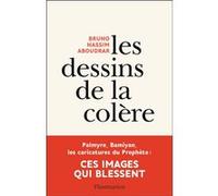 Les dessins de la colère Bruno-Nassim Aboudrar (Auteur)