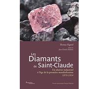 Les diamants de Saint-Claude: Un district industriel à l'âge de la première mondialisation 1870-1914