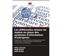 Les différentes raisons de mettre en place des systèmes d'information d'entreprise