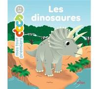 Les dinosaures Céline Person (Auteur), Camille Tisserand (Illustration)