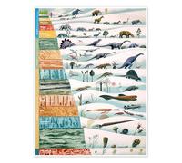 Les dinosaures et l'histoire géologique Poster 13 x 18 cm Tableaux Décoration murale