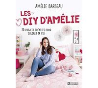 Les DIY d'Amélie: 70 projets créatifs pour colorer ta vie