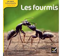 Les Docs Ribambelle Cycle 2 – Les fourmis – éd. 2014 – Hatier