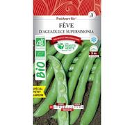 Les doigts verts Graines fèves d'Aguadulce Supersimonia Bio 100g