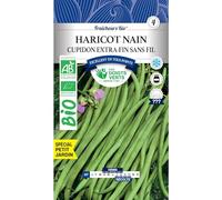Les doigts verts Graines Haricot Nain Cupidon Bio 30g