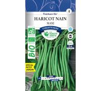 Les doigts verts Graines Haricot Nain Maxi Bio 100g