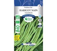 Les doigts verts Graines Haricot Nain Talisman Bio 100g