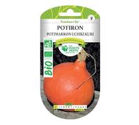 Les doigts verts Graines potiron potimarron Uchiki Kuri Bio