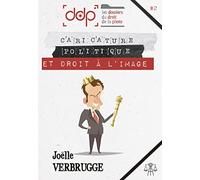 LES DOSSIERS DU DROIT DE LA PHOTO - VOLUME 2: Caricature politique et droit à l'image