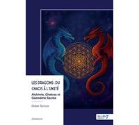 Les Dragons : du Chaos à l'Unité Alchimie, Chakras et Géométrie Sacrée - Didier Schutz - Nombre 7 - broché - Essai