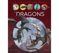Sabine Boccador – Les dragons – Document jeunesse – Cartonné