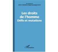 Les droits de l'homme Défis et mutations - André S. Dizdarevic - L'harmattan - broché - Essai