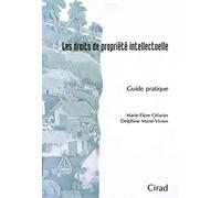 Les Droits De Propriété Intellectuelle - Guide Pratique