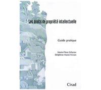 Les Droits De Propriété Intellectuelle - Guide Pratique