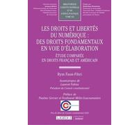 Les droits et libertés du numérique : des droits fondamentaux en voie d'élaboration: Étude comparée en droits français et américain (Tome 165)