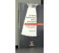 Les Droits Fondamentaux Dans Le Proces Penal Libertes Et Droits Fondamentaux