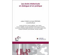 Les droits intellectuels en dialogue et en pratique - Julien Cabay - Larcier Eds - broché - Etude